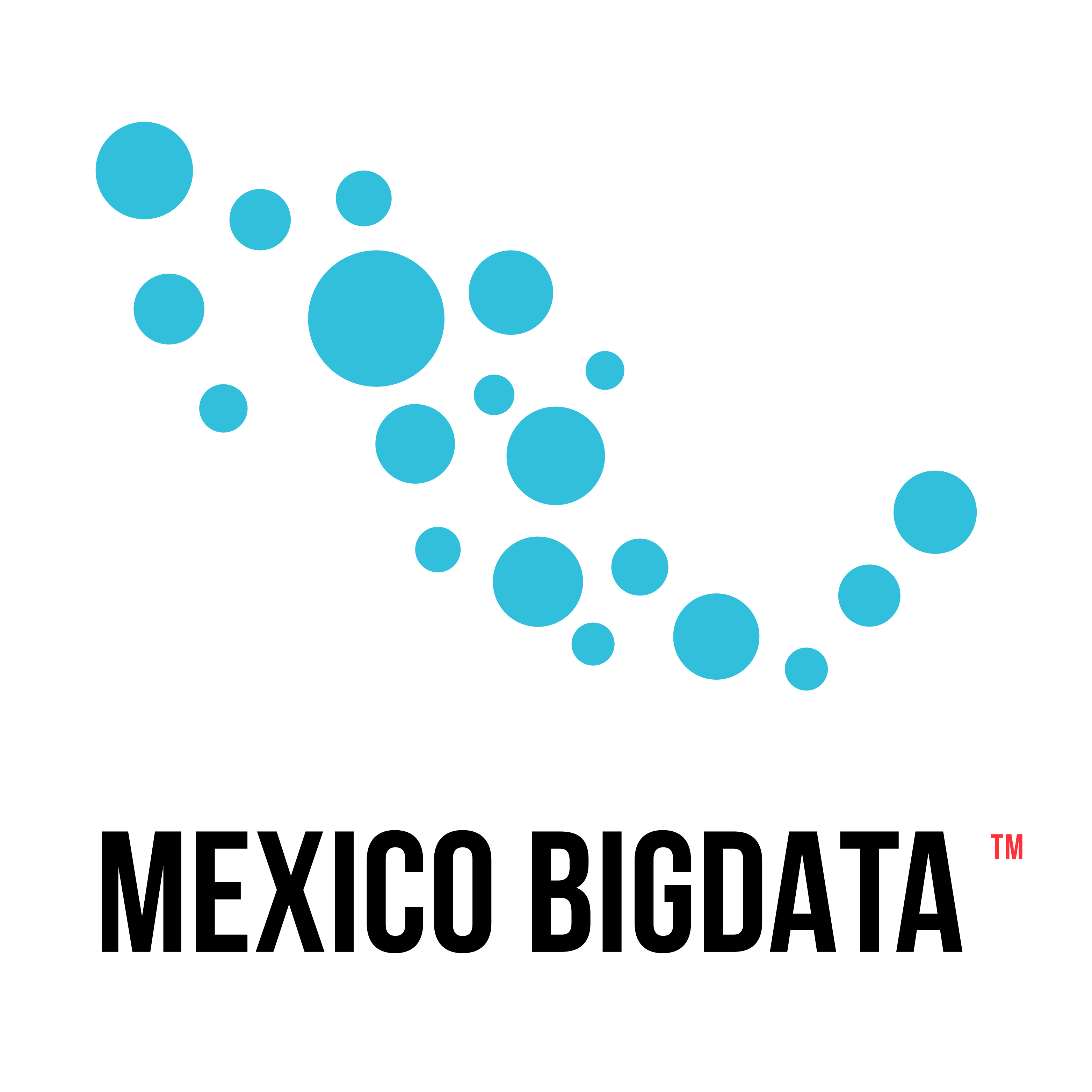 /partners/Mexico-Bigdata.webp