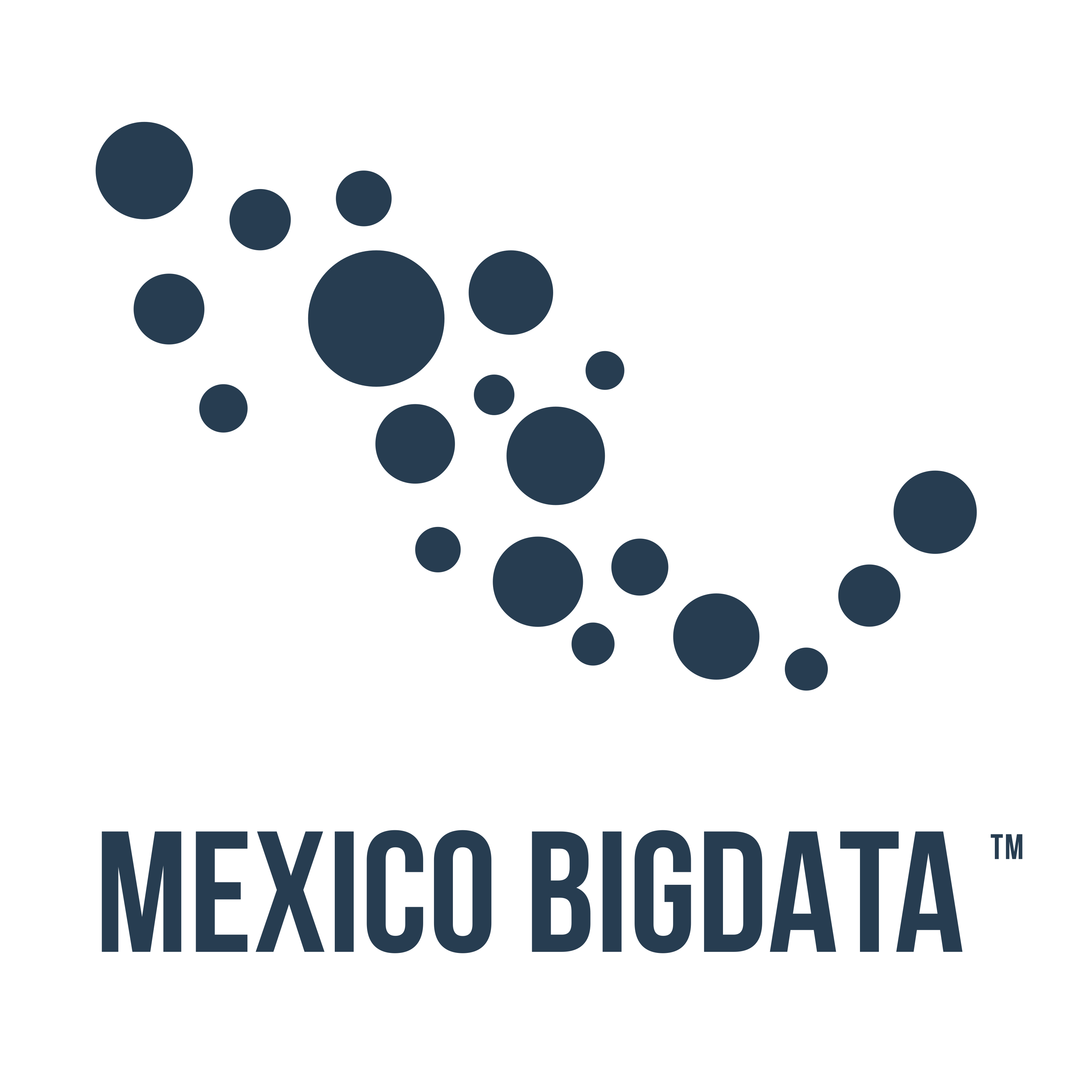 /partners/Mexico-Bigdata.webp